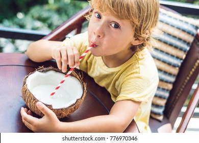 Little Boy Drinks Homemade Coconut Milk From A Half Of Coconut.