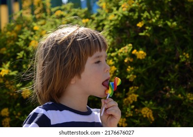 Little Boy Eats Colored Candy On A Stick. Bright Lolipop In The Hands Of A Child