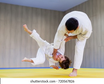 Little Boy Enjoys First Judo Lesson Stock Photo 720567826 | Shutterstock