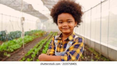 Little boy enjoys planting new flowers and vegetable plants. African descent child gardening in outdoor vegetable, flower garden in spring or summer season. - Shutterstock ID 2155718401