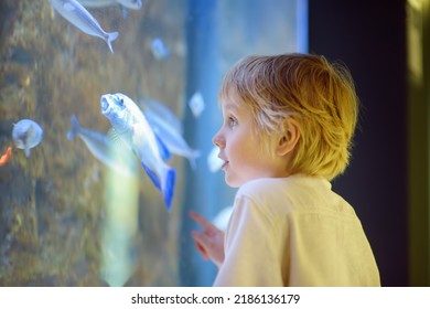 Little Boy Explore Fishes In Aquarium. Elementary Student Is On Excursion In Seaquarium. Biology Lessons.