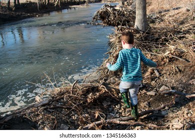 Little Boy Explores In Green & White Striped Shirt, Gray Pants, And Muck Boots Curiously Explores Winter Riverbank (shown From Back).