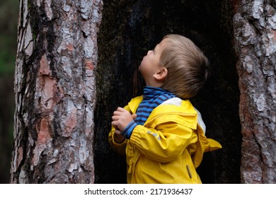 little boy exploring the inside of a pine tree dressed in yellow
