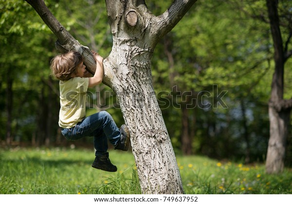 Little Boy Facing Challenge Trying Climb Stock Photo (Edit Now) 749637952