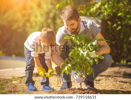 The little boy and a father plant a tree
