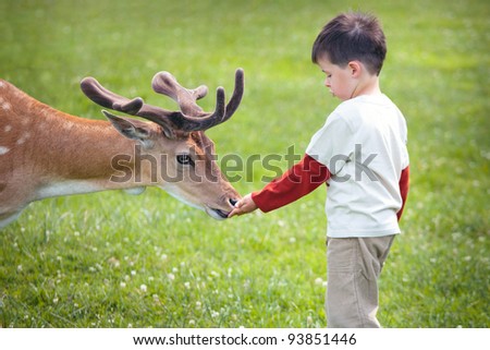 Similar – Image, Stock Photo Child joy. Girl feeds a fallow deer