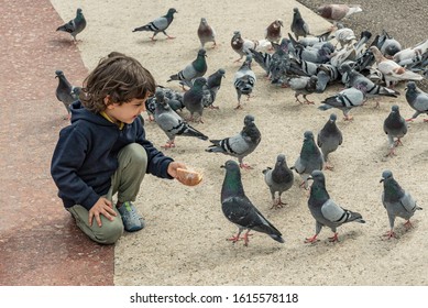 Little boy feeding a group of pigeons.
Friendly boy shares his bread to hungry birds