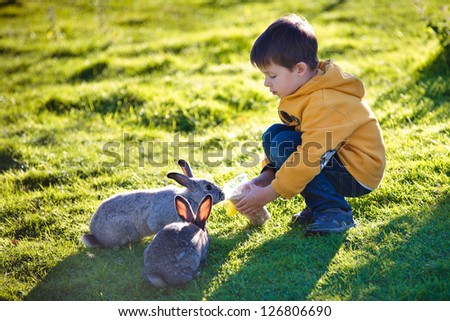 Similar – Image, Stock Photo Person playing with rabbit at home