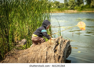 Little Boy Fishing With A Net