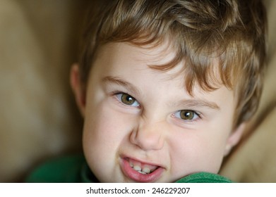 Little Boy Funny Face Stock Photo 246229207 | Shutterstock