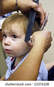 Little Boy Getting First Haircut