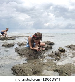 Little Boy And Girl Exploring The Ocean Tidal Pools At Low Tide