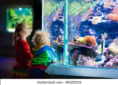 Little Boy And Girl Watching Tropical Coral Fish In Large Sea Life Tank. Kids At The Zoo Aquarium. 