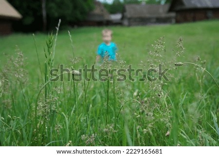 Little boy in the green grass in the countryside