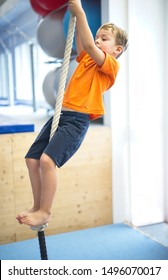 Little boy gymnast climbs a rope