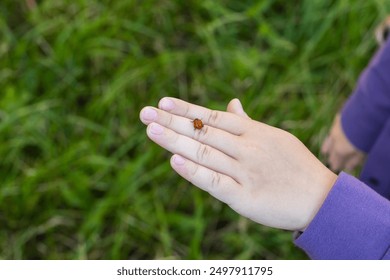 A little boy in the hands of the ladybug. Ladybug crawling on the child's hand. - Powered by Shutterstock