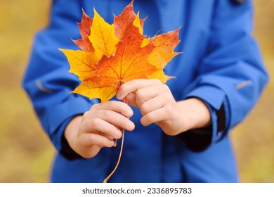 Little boy having fun during stroll in forest at sunny autumn day. Child playing with maple leaves. Hiking with little kids. Autumn outdoor activity for family with kids. - Powered by Shutterstock