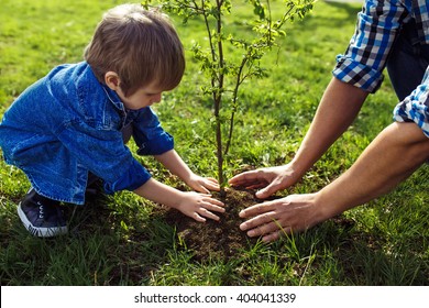 little boy helping his father to plant the tree while working together in the garden  sunday  smiling face   spring time 