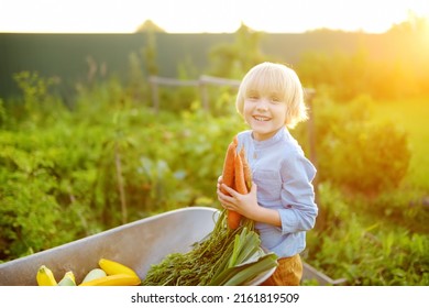 46,949 Boy Harvest Images, Stock Photos & Vectors 