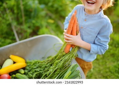 46,949 Boy harvest Images, Stock Photos & Vectors | Shutterstock