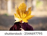 Little boy hiding his face behind huge autumn maple leaf. Autumn mood, stylish lifestyle photo.