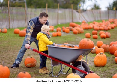 Little boy and his father on a tour of a pumpkin farm at autumn. Child sitting on giant pumpkin. Pumpkin is traditional vegetable used on American holidays - Halloween and Thanksgiving Day. - Powered by Shutterstock