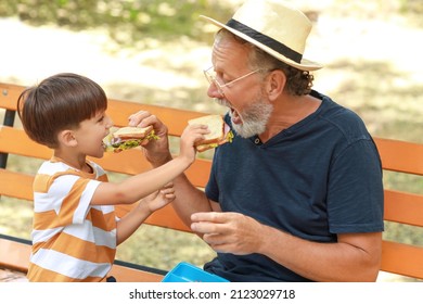 Little boy and his grandfather eating sandwiches on bench in park