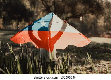 Little Boy Holding A Kite With The Chilean Flag