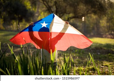 Little Boy Holding A Kite With The Chilean Flag