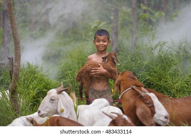 Little boy holding the small goat in fog - Powered by Shutterstock