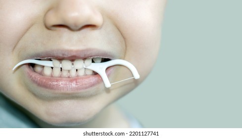 Little Boy Holding Through His Teeth A White Toothpick.plastic Dental Floss.close Up Photo.kid With Diastema Space Between Is Flossing Teeth. Stomatological,dental Care,family Education Healthy Daily 