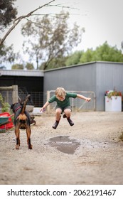 Little Boy Jumping And Splashing In Puddle With Pet Rottweiler Dog