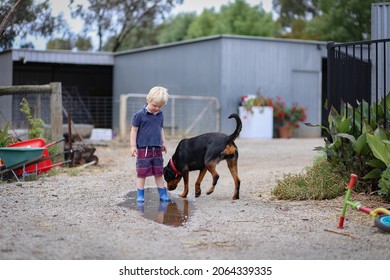 Little Boy Jumping And Splashing In Puddle With Pet Rottweiler Dog