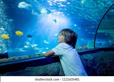 Little Boy, Kid Watching The Shoal Of Fish Swimming In Oceanarium, Children Enjoying Underwater Life In Aquarium
