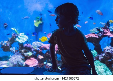 Little Boy, Kid Watching The Shoal Of Fish Swimming In Oceanarium, Children Enjoying Underwater Life In Aquarium