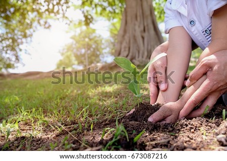 Little boy and parent holding young plant in hands. Earthday concept. 
 