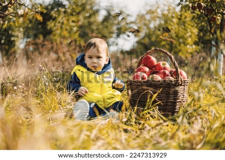 Similar – Image, Stock Photo Little girl looking apples in basket with harvest