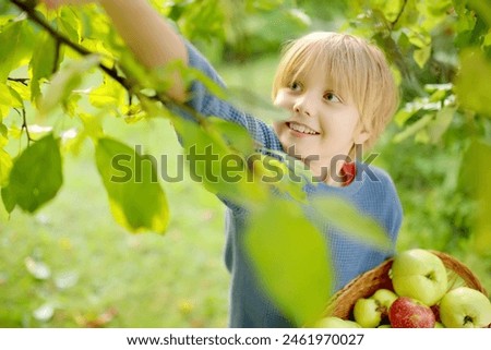 Similar – Image, Stock Photo Little girl picking apples with senior woman