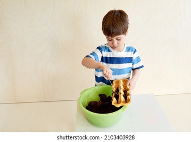 A little boy is planting seeds for seedlings.Life hack for gardeners. An interesting activity and a useful hobby for child. Preschool education. Human and nature. Growing plants. Farming. Copy space