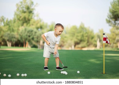 little Boy playing golf and hitting ball by putter on green grass.