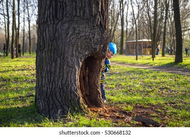 Little Boy Is Playing Hide And Seek Outdoors