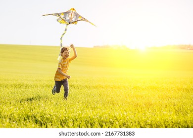 Little Boy Playing Kite Green Meadow Stock Photo 2167731383 | Shutterstock