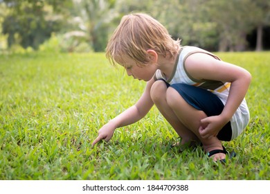 A little boy playing and learning outdoor, looking and exploring for insects.