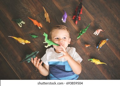 Little Boy Plays With Toy Dinosaurs