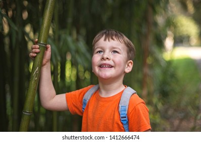 Little boy portrait in bamboo forest