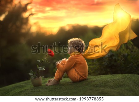 A little boy, a prince, sits with a rose flower at sunset