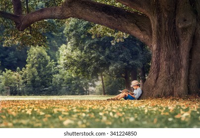 Little boy reading a book under big linden tree