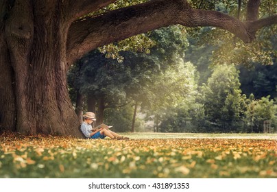 Маленький мальчик читает книгу под большой липой дерево