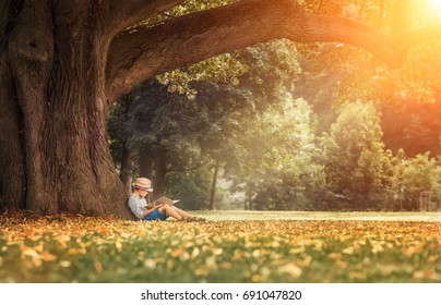 Маленький мальчик читает книгу под большой липой дерево