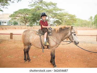 Little Boy Riding Horse Pony